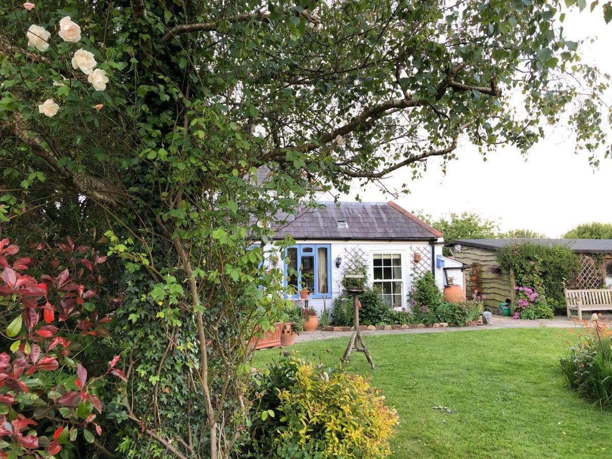 Cosy Cottage Ground Floor Bedroom Ensuite With Private Entrance Chichester Bagian luar foto